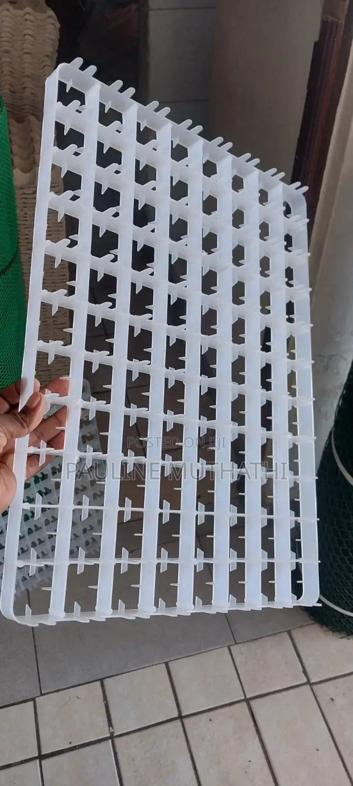 Incubator Setter Trays