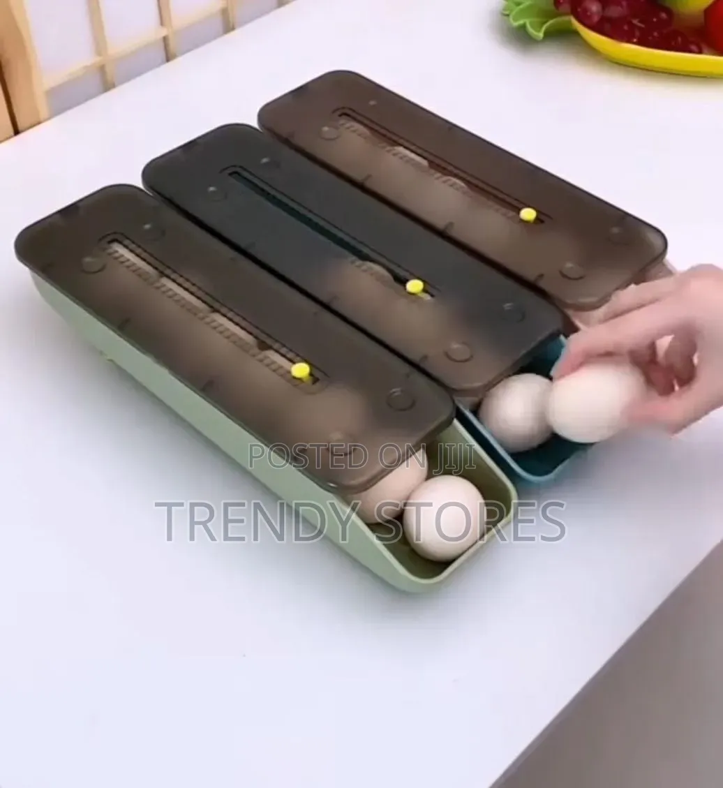 Egg Storage Box