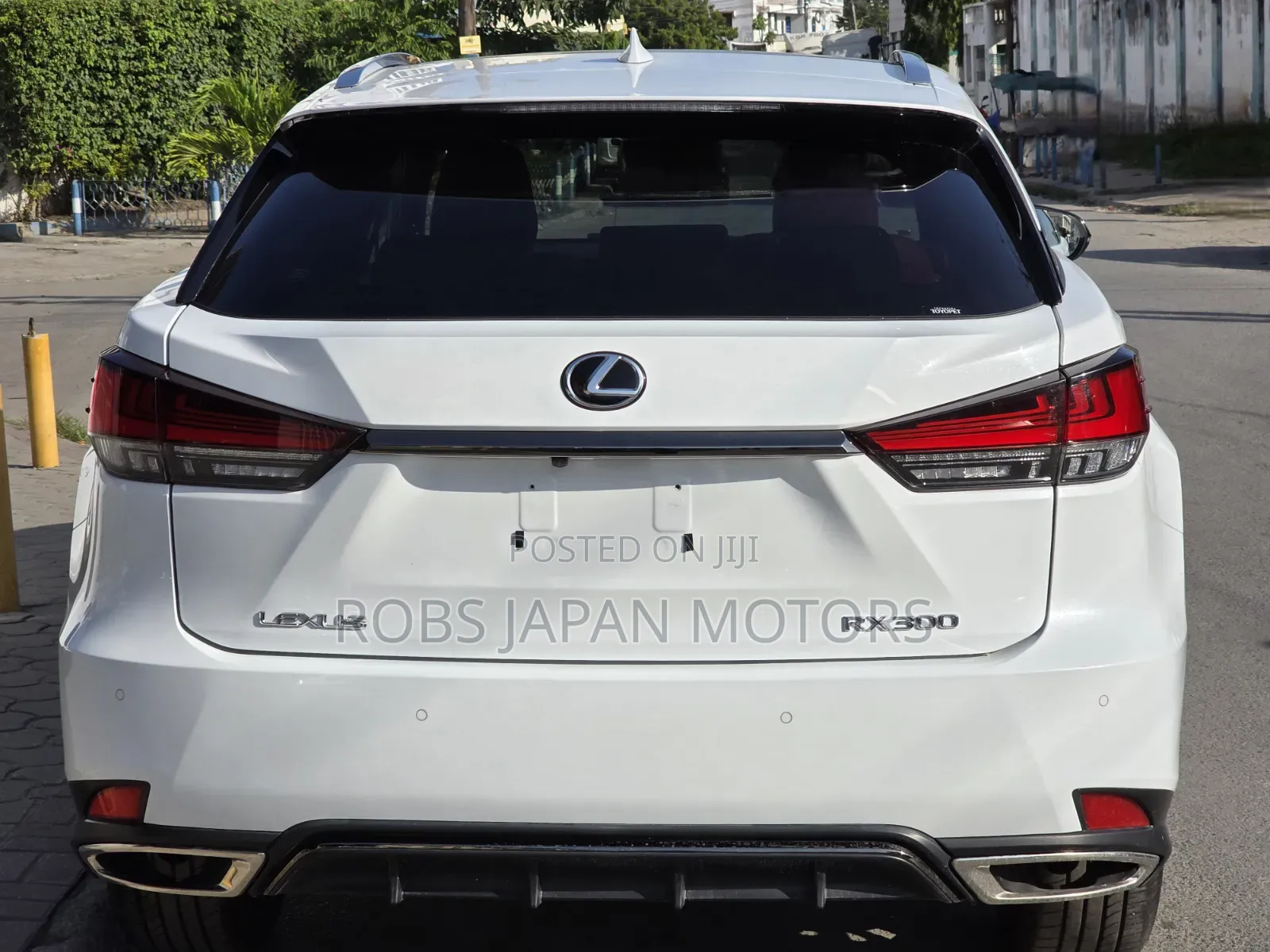 Lexus RX 2020 Pearl