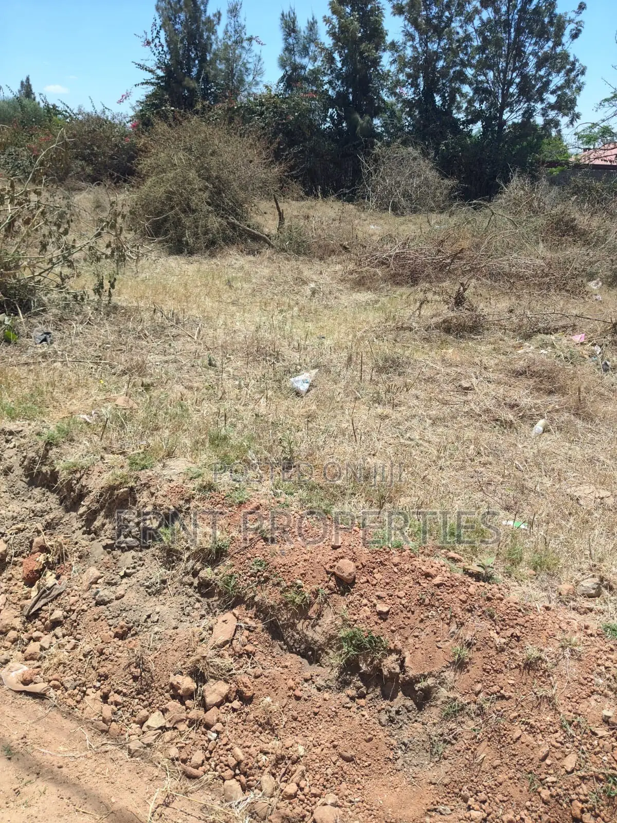 Kitengela Muigai Estate | Roadfront 50×100 @ KSH 2.7m