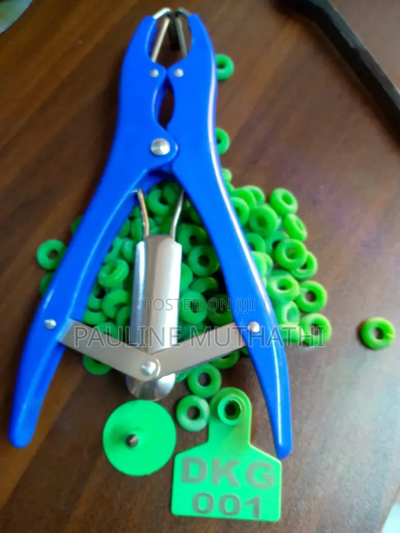 Elastrator/Rubber Ring Applicator and Rubber Ring