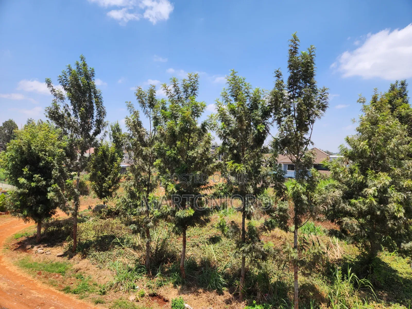 Kenyatta Road Croton Estate