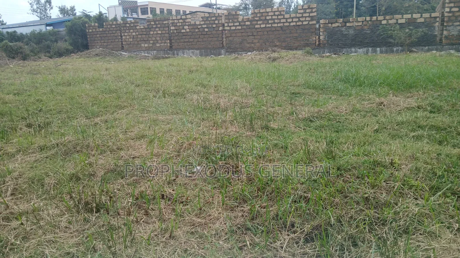 50ft by 100ft Prime Plots for Sale in Ongata Rongai Gataka Road.