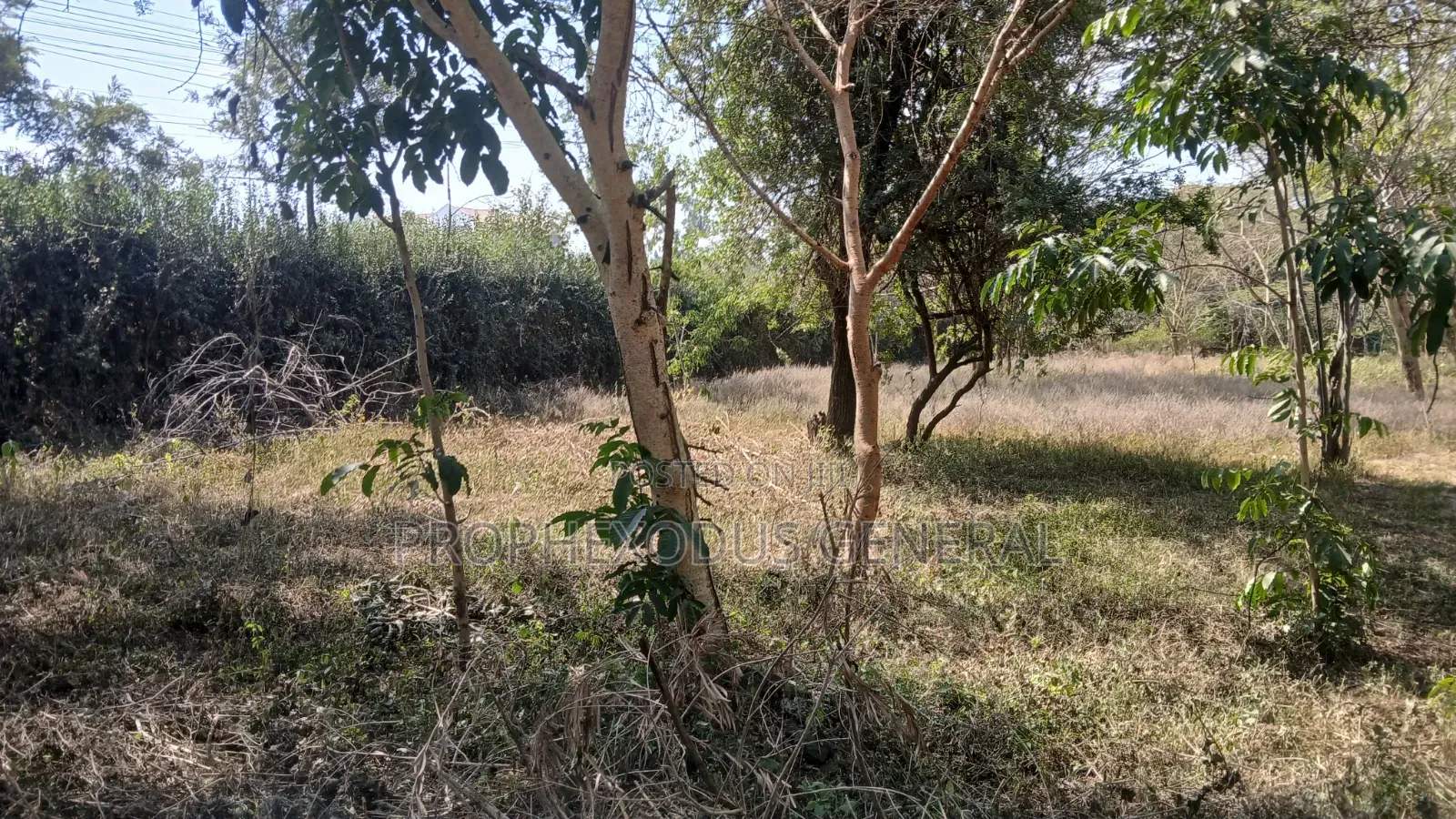 1/4 Acre Prime Plots for Sale in Ongata Rongai Town.