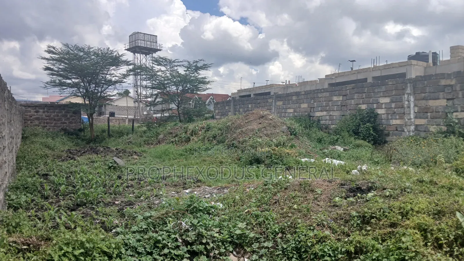 50ft by 100ft Prime Plots for Sale in Ongata Rongai Town.