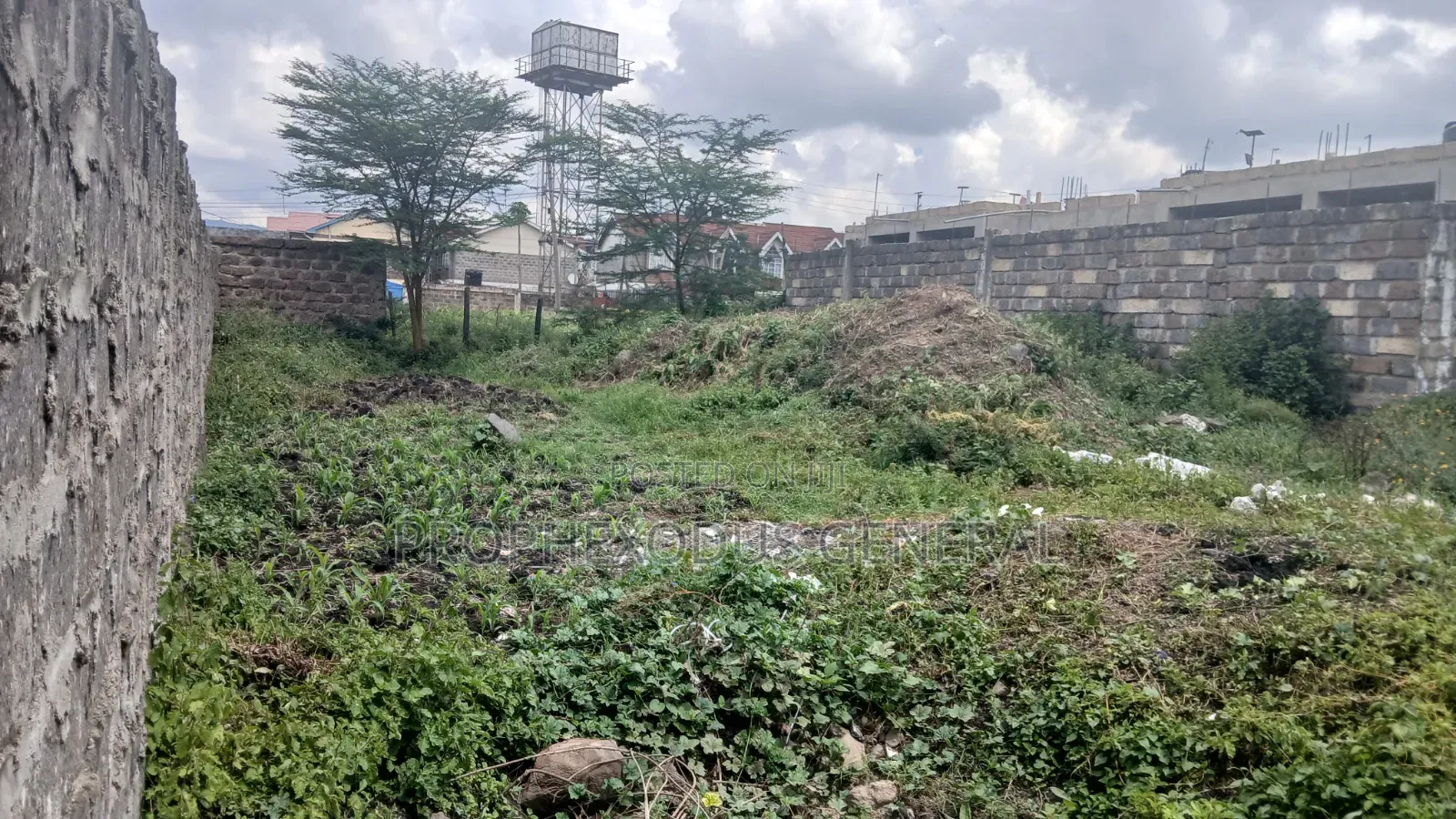 50ft by 100ft Prime Plots for Sale in Ongata Rongai Town.