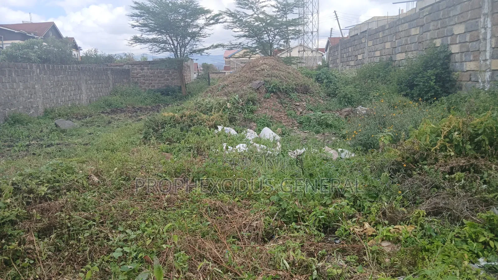 50ft by 100ft Prime Plots for Sale in Ongata Rongai Town.