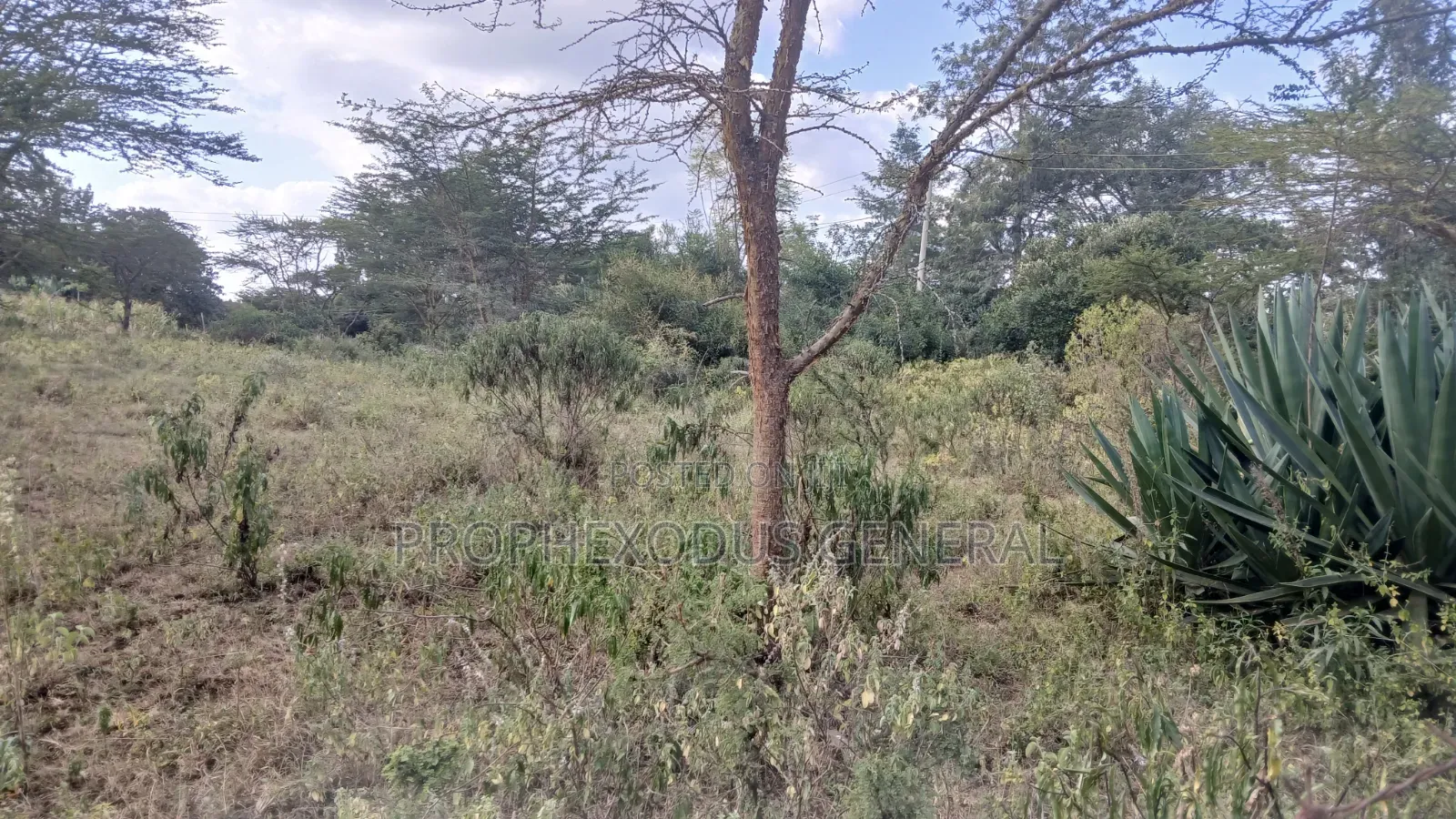 1/8 Acre Plots for Sale in Ongata Rongai Nkoroi