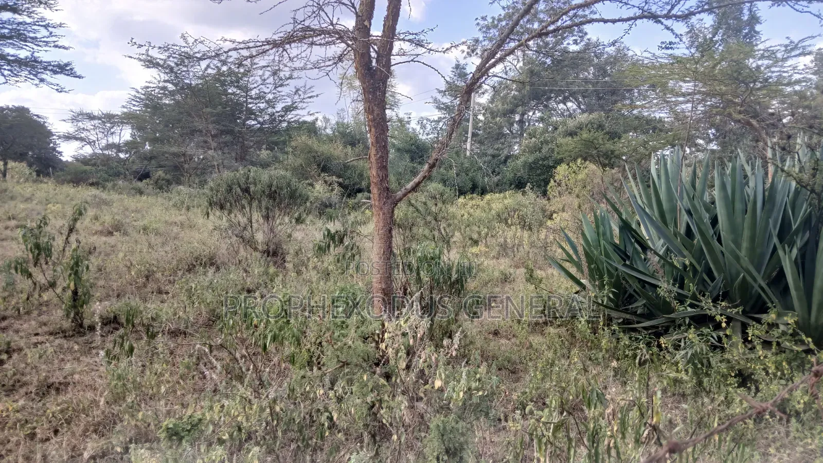 1/8 Acre Plots for Sale in Ongata Rongai Nkoroi