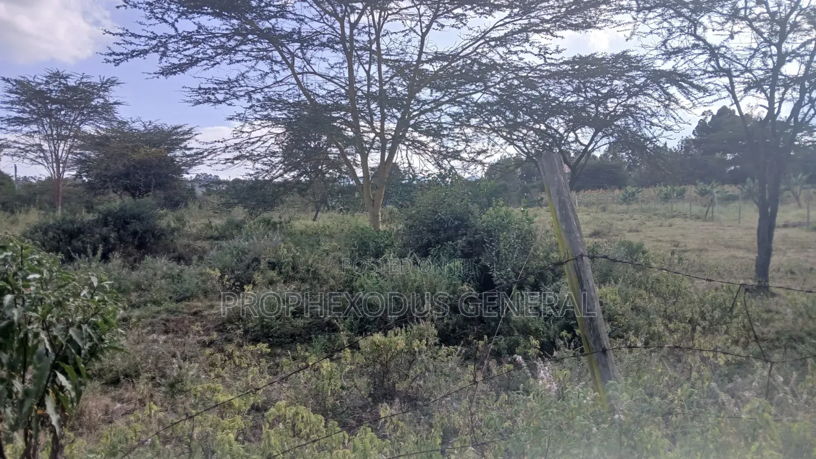 1/8 Acre Plots for Sale in Ongata Rongai Nkoroi