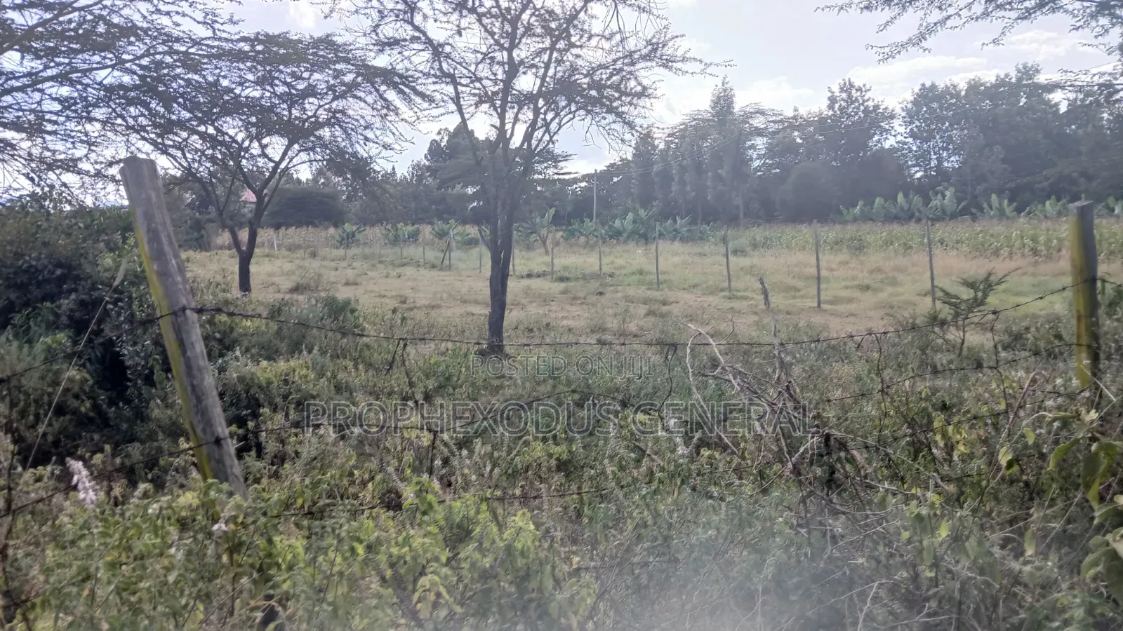 1/8 Acre Plots for Sale in Ongata Rongai Nkoroi