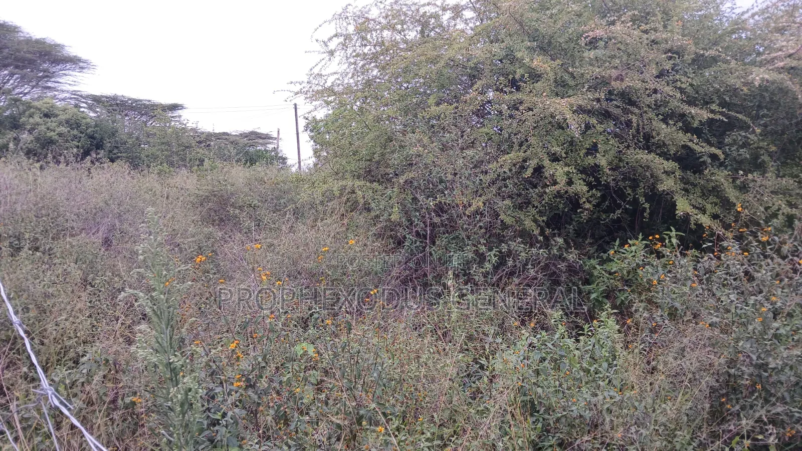 1/8 Acre Plots for Sale in Ongata Rongai Kamura Oloika Road