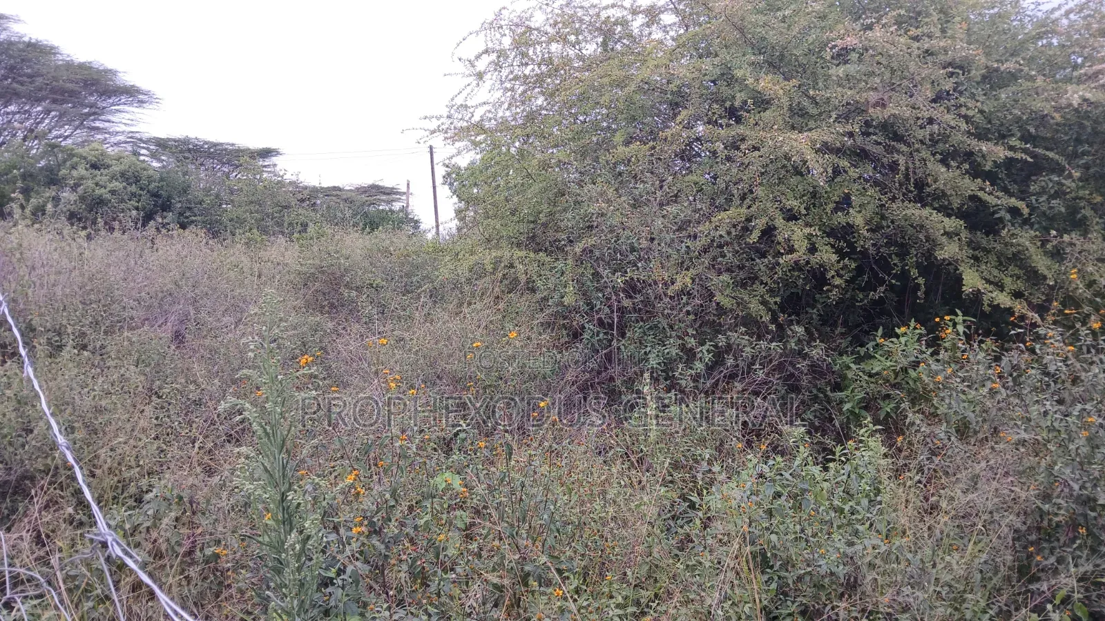 1/8 Acre Plots for Sale in Ongata Rongai Kamura Oloika Road