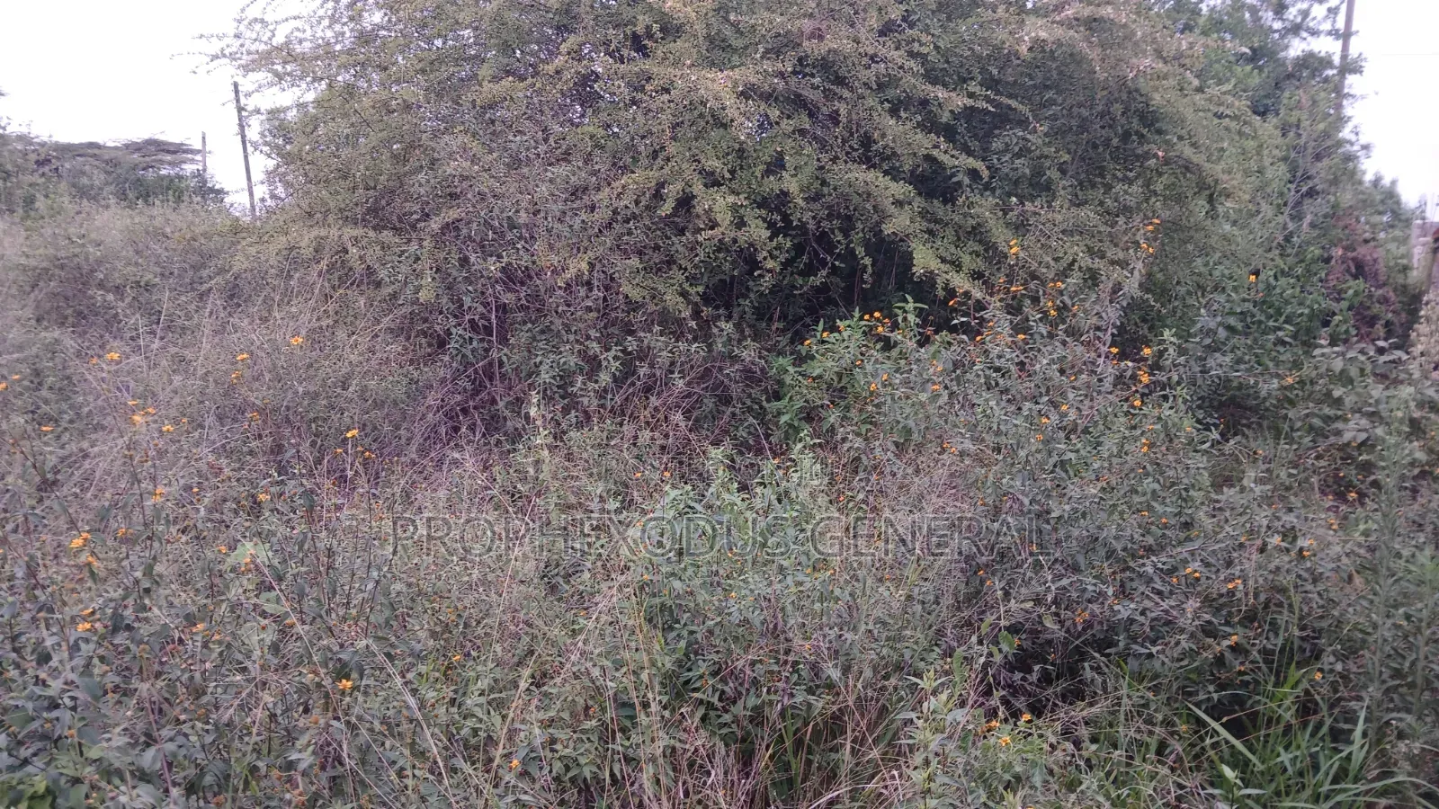 1/8 Acre Plots for Sale in Ongata Rongai Kamura Oloika Road