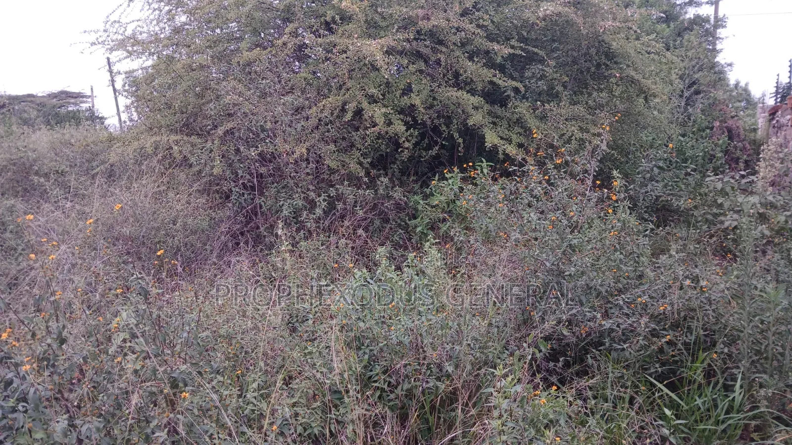 1/8 Acre Plots for Sale in Ongata Rongai Kamura Oloika Road