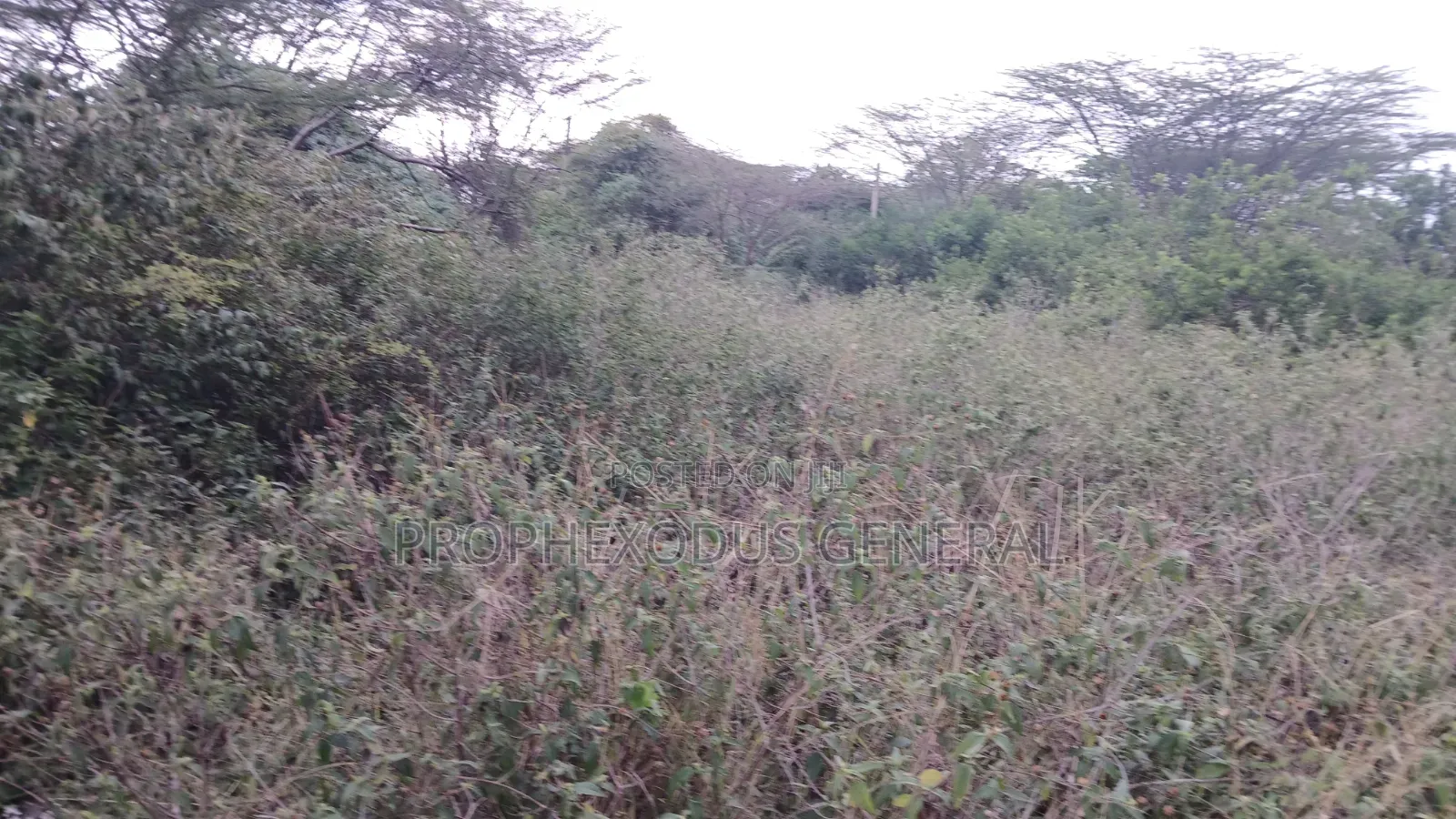 1/8 Acre Plots for Sale in Ongata Rongai Kamura Oloika Road