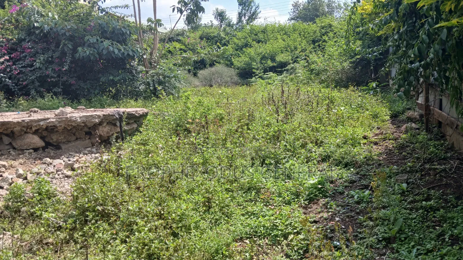 50ft by 100ft Commercial Plots for Sale in O/Rongai Nkoroi  Kamura