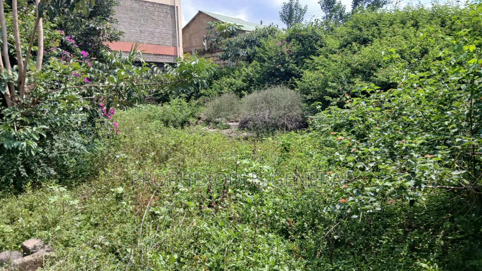 50ft by 100ft Commercial Plots for Sale in O/Rongai Nkoroi  Kamura