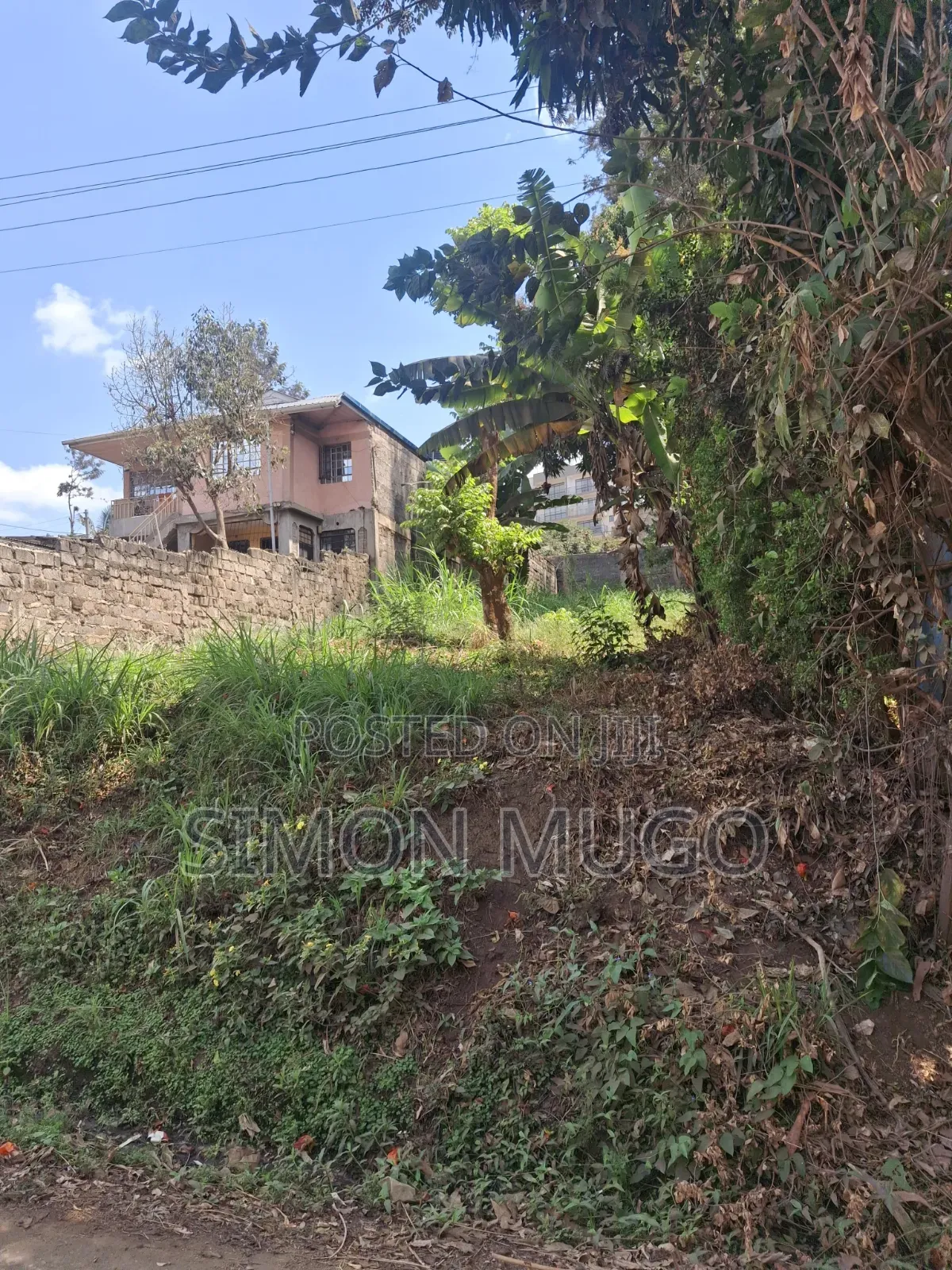 Kiamumbi Commercial 50x100 Plot Opposite Jacarada Freehold Title