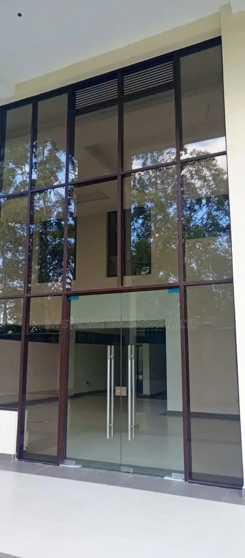 Frameless Glass Swing Doors