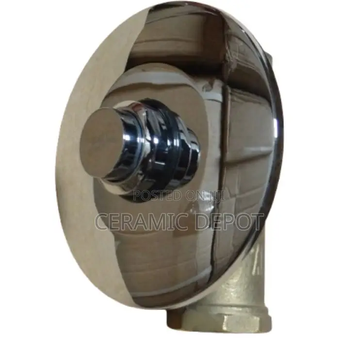 Euro Deluxe WC Flash Valve ED8106C