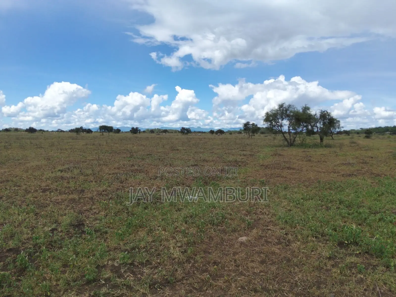 10 Acres Land Kimana Loitok