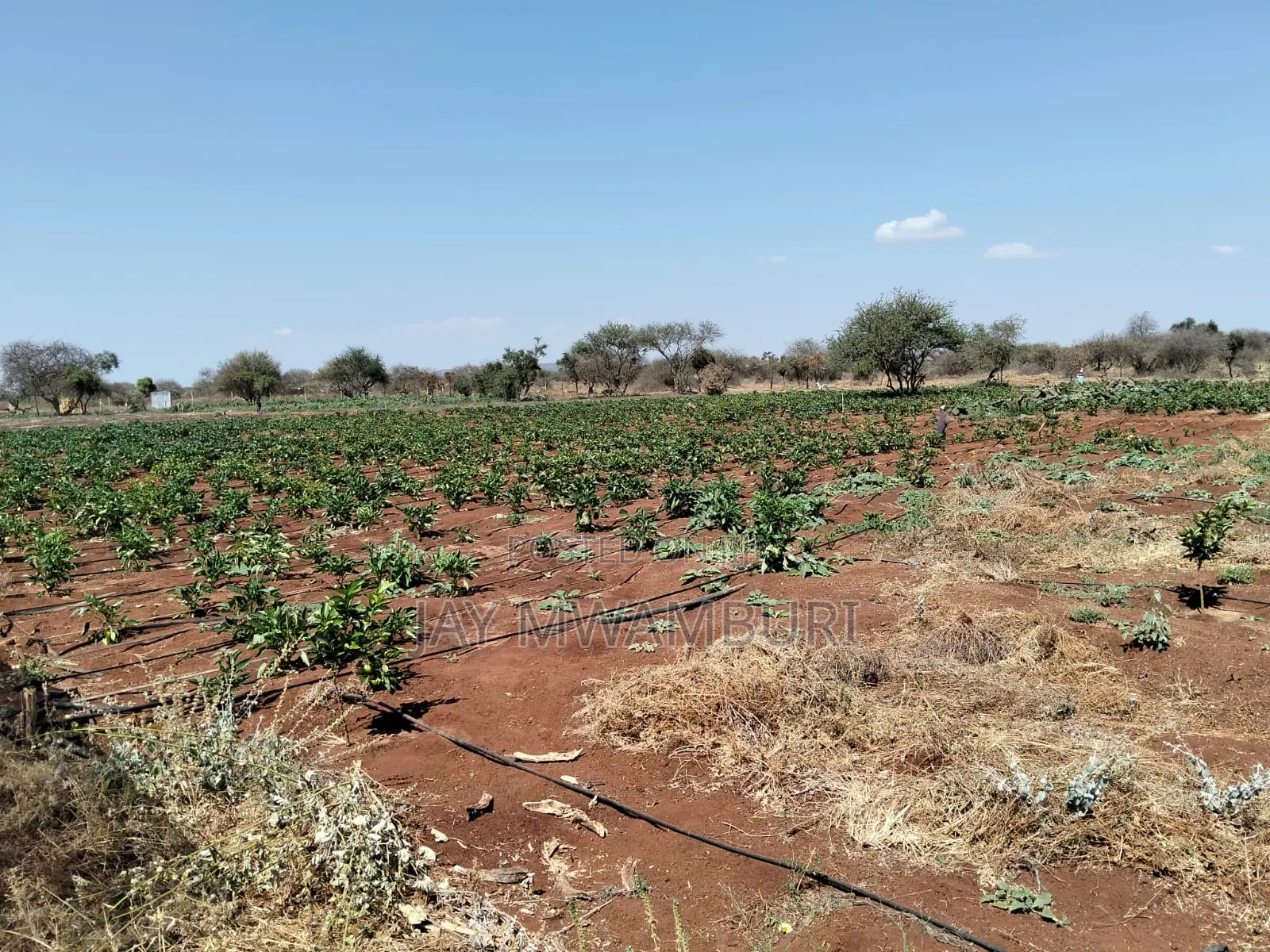 10 Acres Land Kimana Loitok