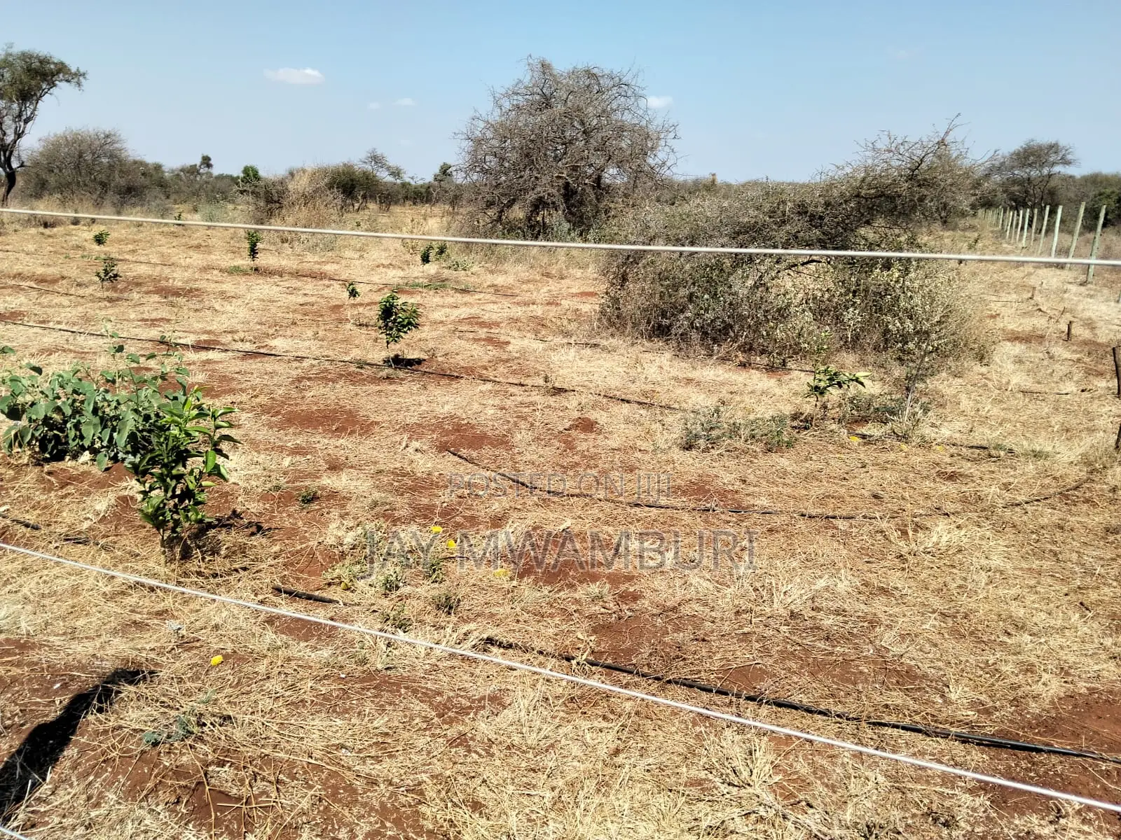10 Acres Land Kimana Loitok