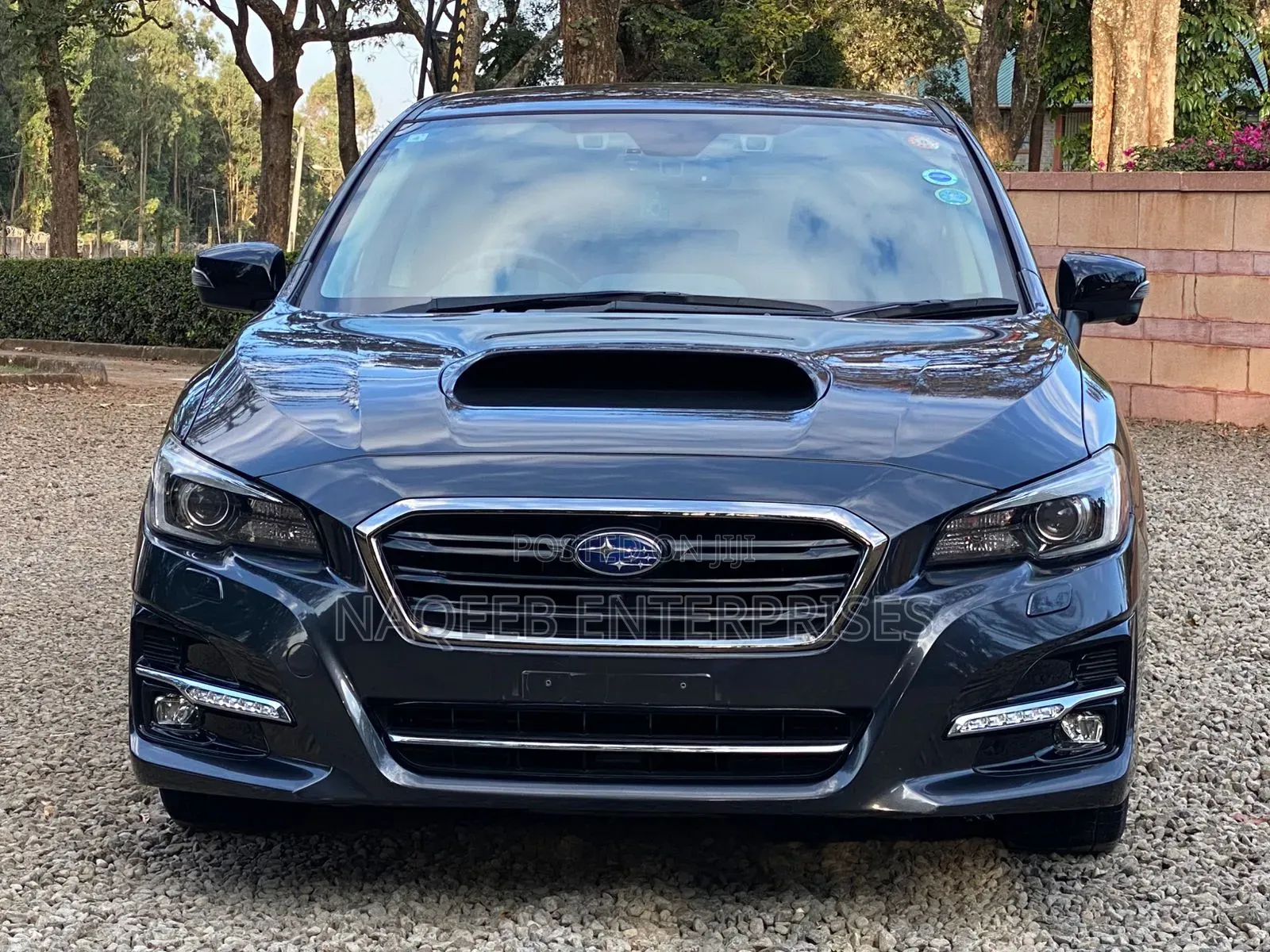 Subaru Levorg 2019 Gray