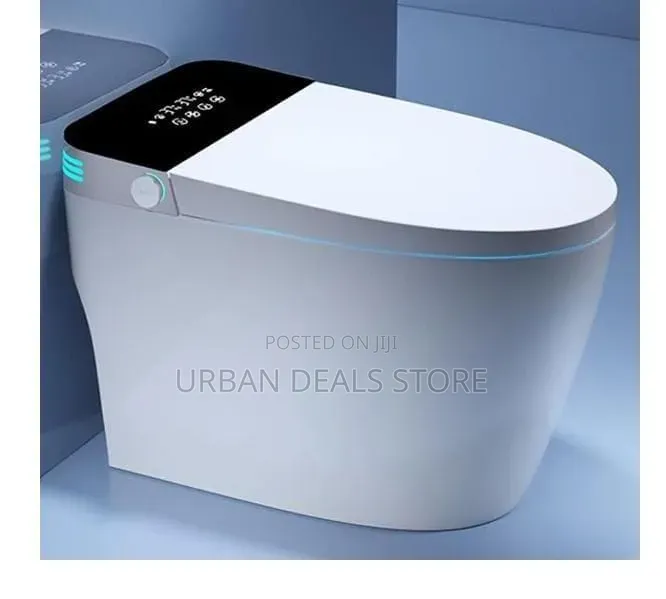 Bolesi Smart Toilet
