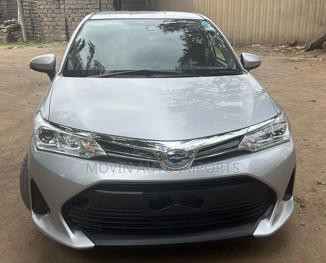 Toyota Corolla Fielder 2019 Silver