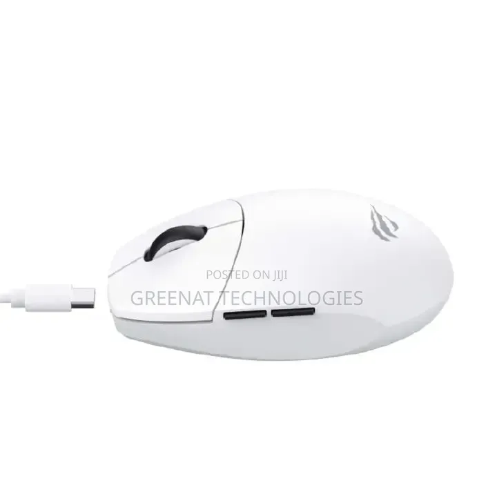 Havit MS1039W Dual Mode Lightweight Wireless Gaming Mouse –
