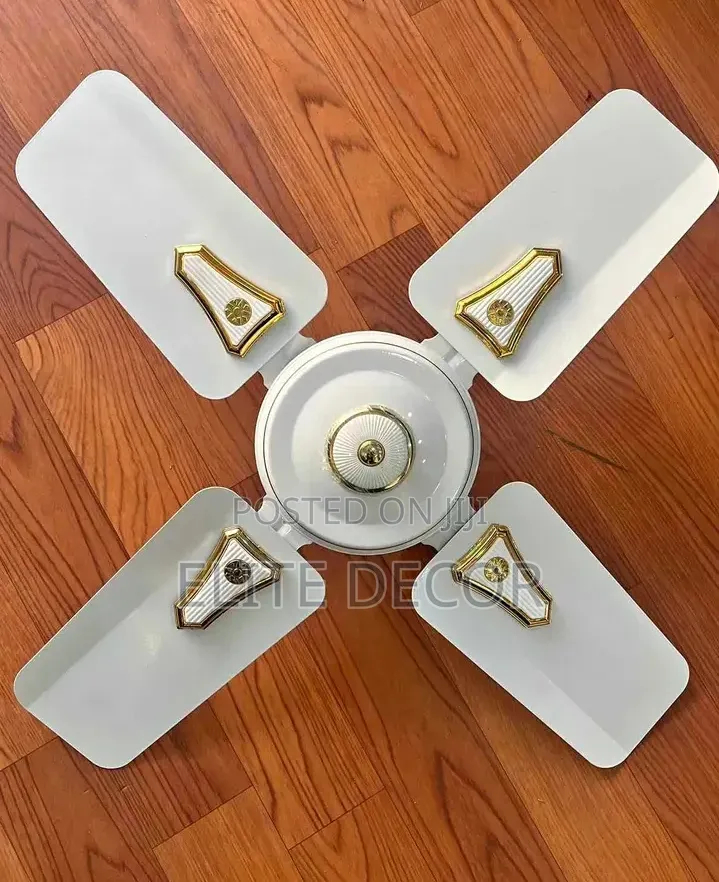 Starworth 24-Inch Ceiling Fan – Powerful & Energy Efficient