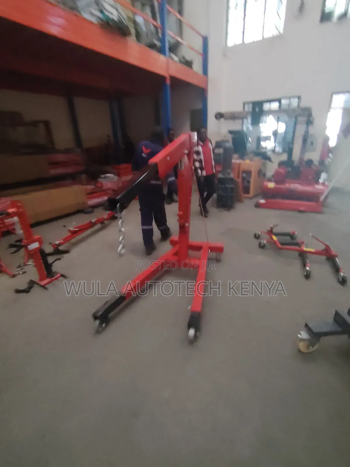 Modern Design and Latest Version Engine Crane Hoist Sunshine Italy