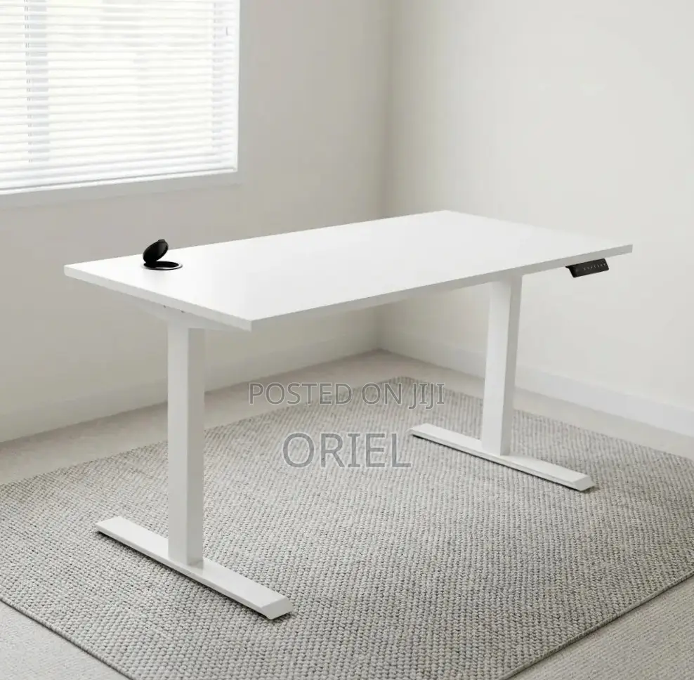 Office Desk : White Electric Standing Desk- 120CM