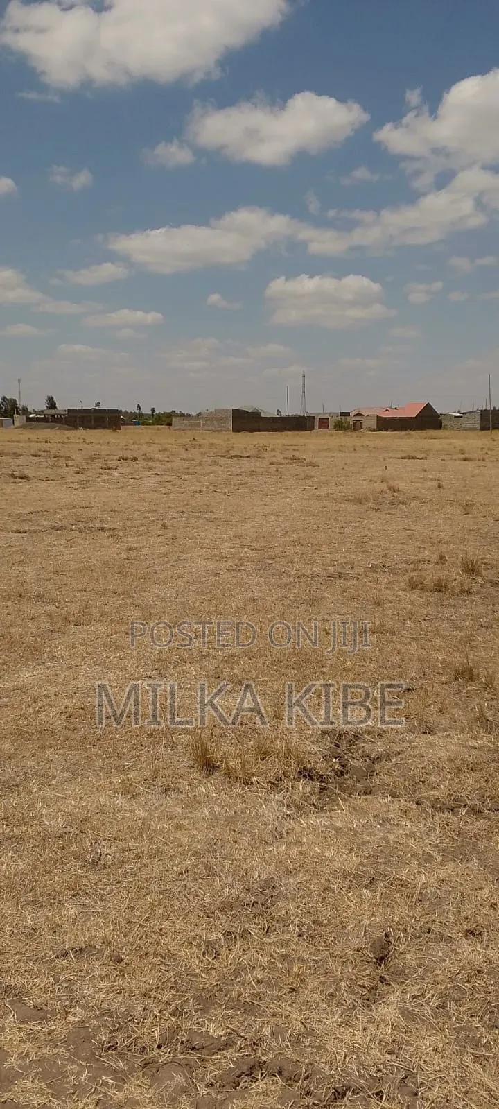Muthaara 40 by 80