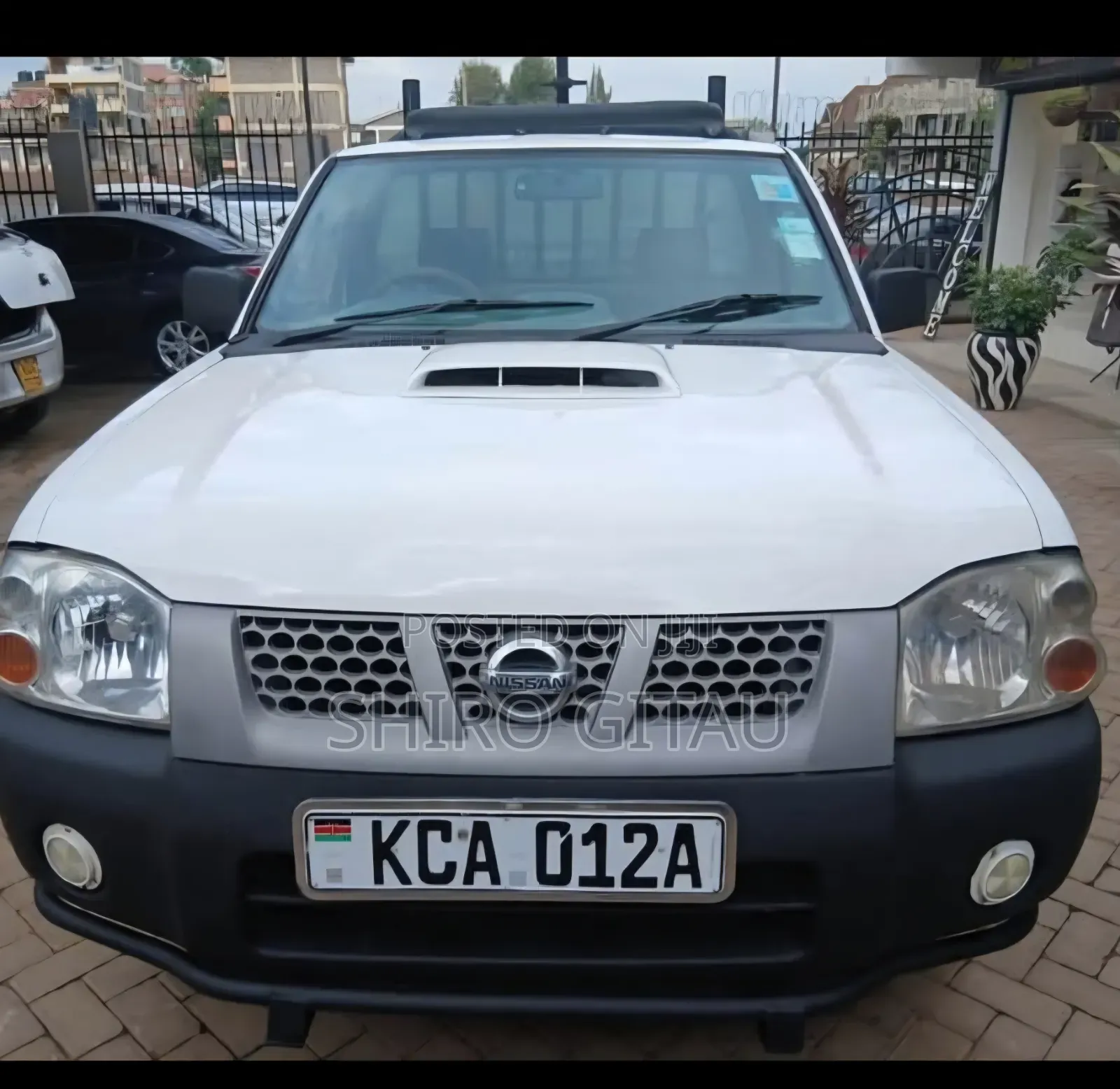 Nissan Hardbody 2013 White