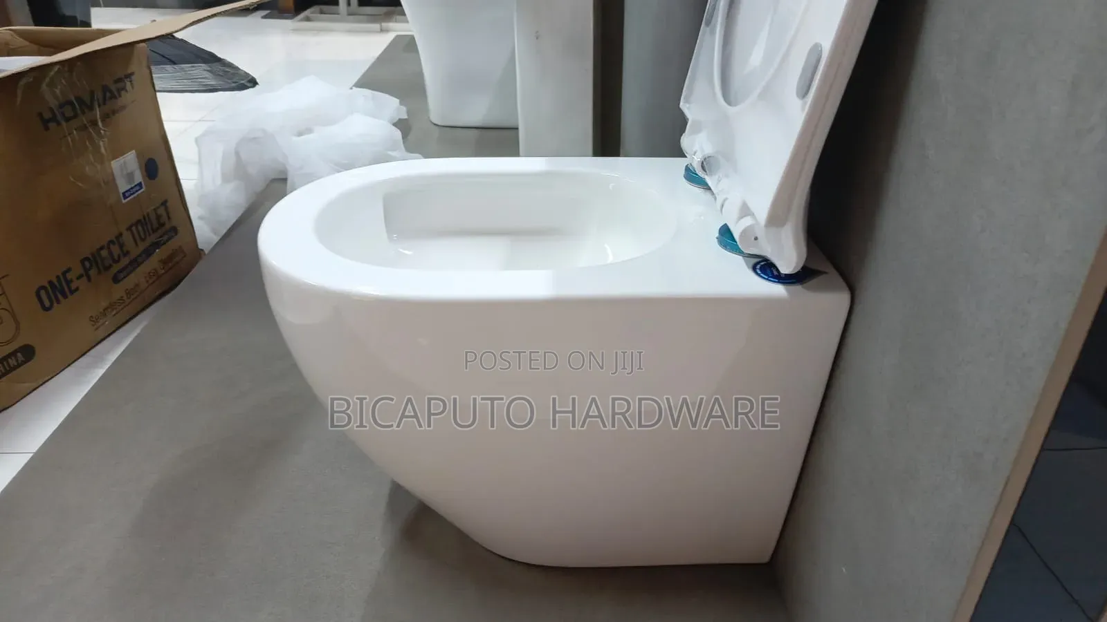 Back to Wall Toilet