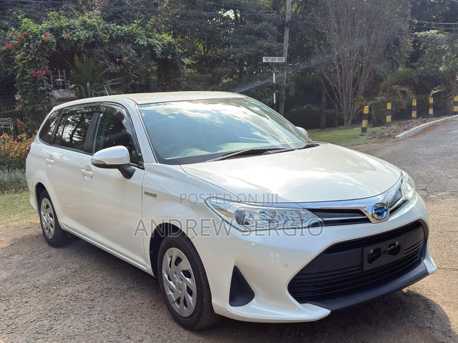 Toyota Corolla Fielder 2019 White