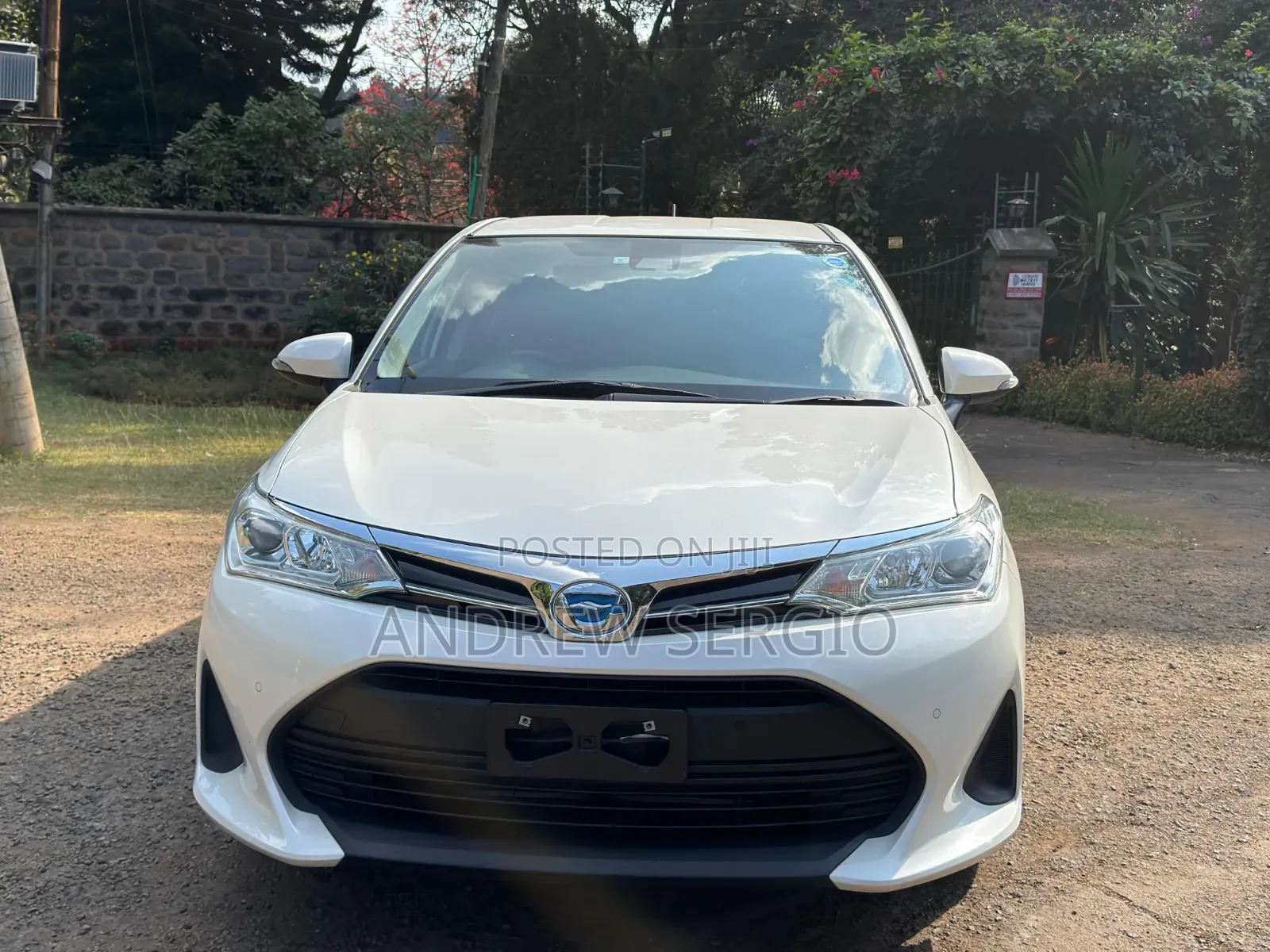 Toyota Corolla Fielder 2019 White