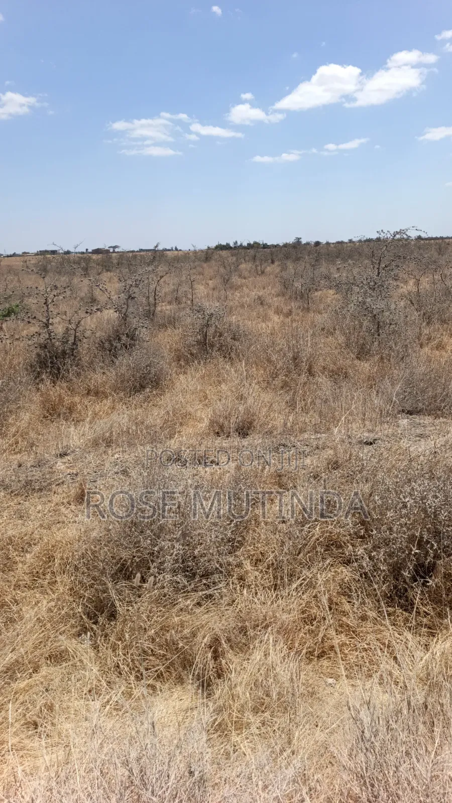 80 Acres in Kadafu