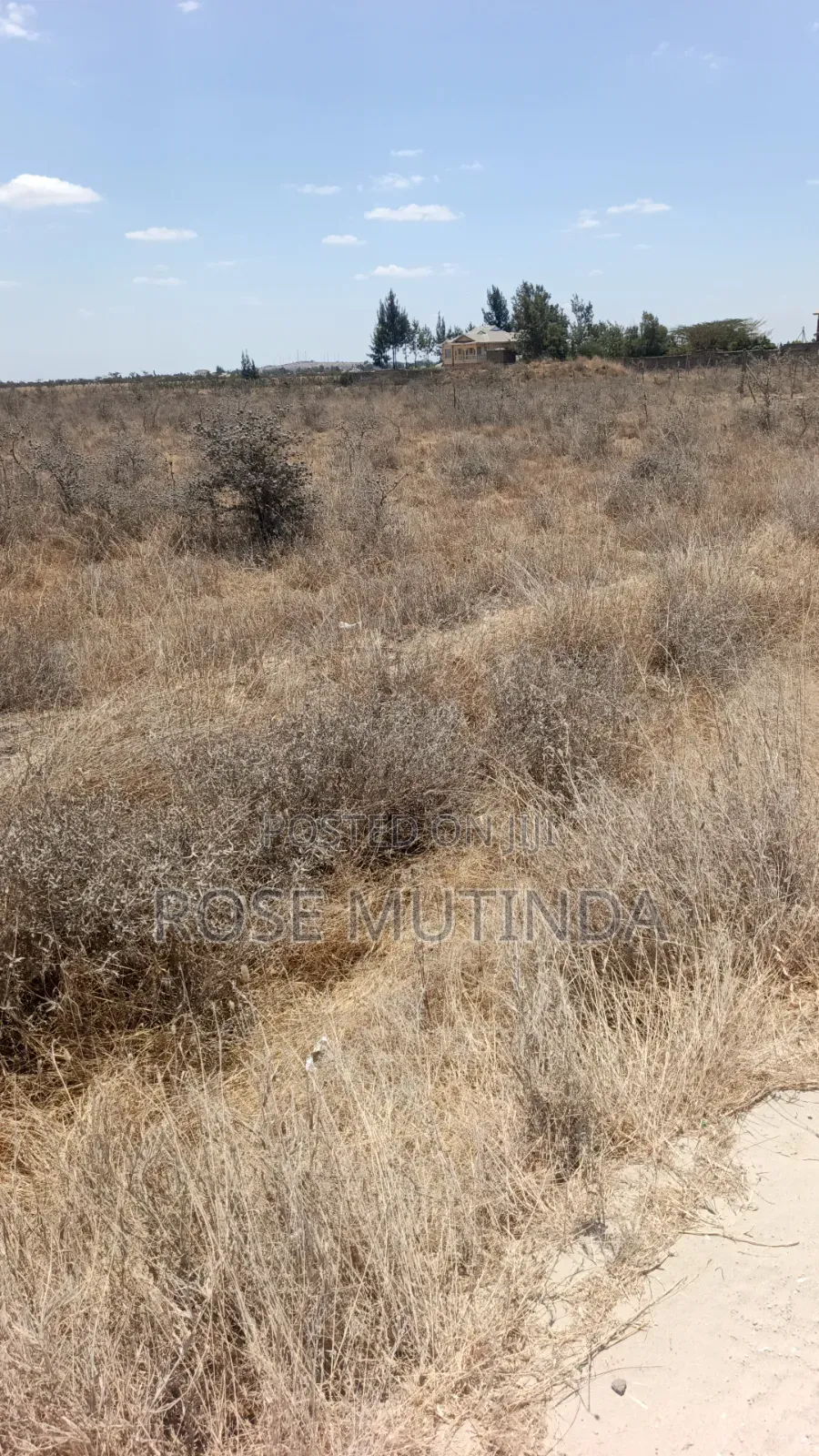 80 Acres in Kadafu