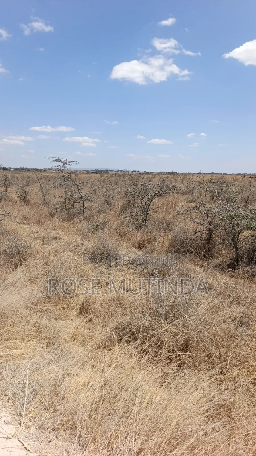 80 Acres in Kadafu
