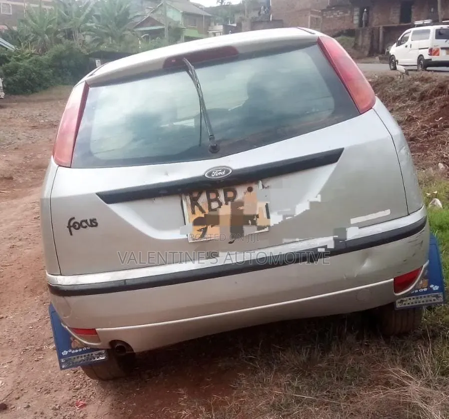 Ford Focus 2004 Silver