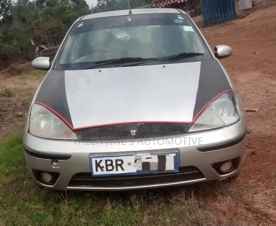 Ford Focus 2004 Silver