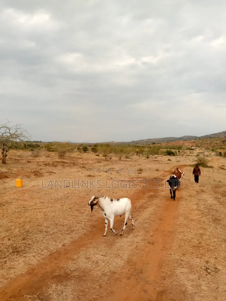 100 Acres Diffirently  Touching Mombasa Rd  at Maanzoni &After  Chumvi