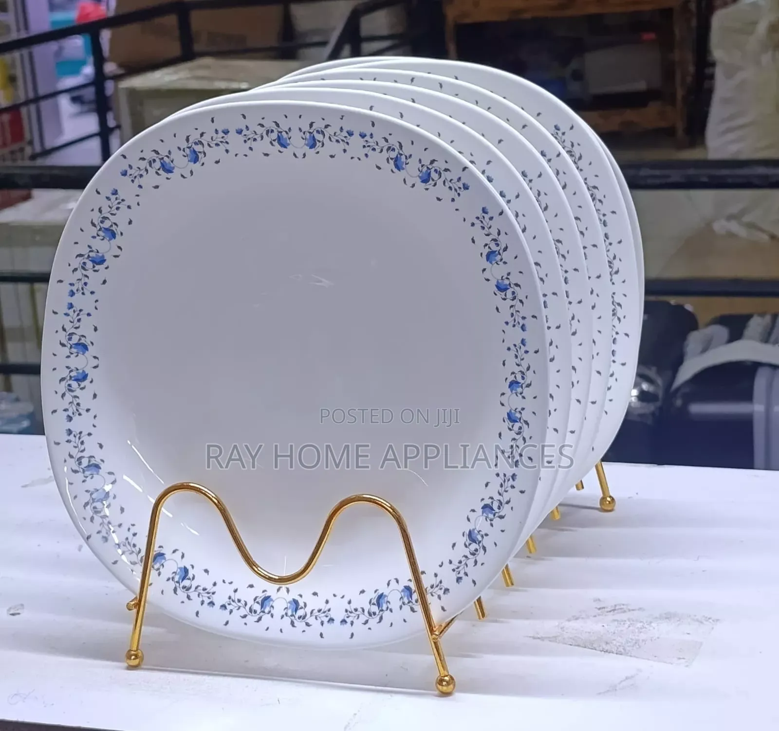 6 Pieces 10.5" Ceramic Plates