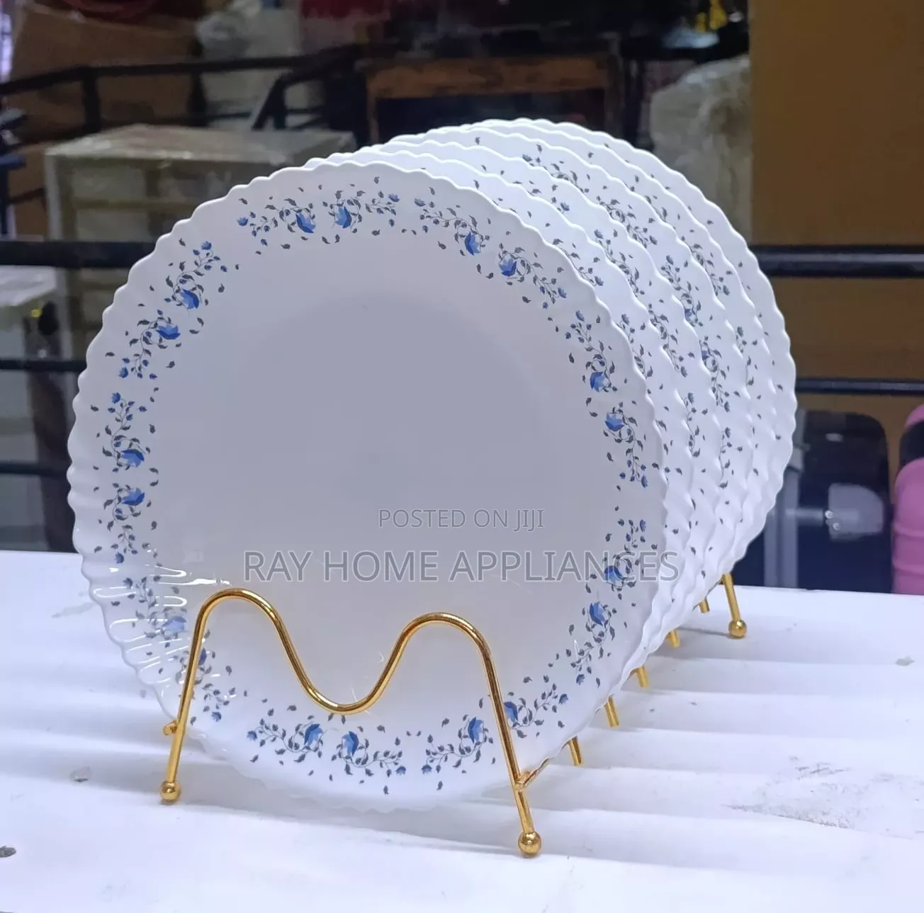 6 Pieces 10.5" Ceramic Plates