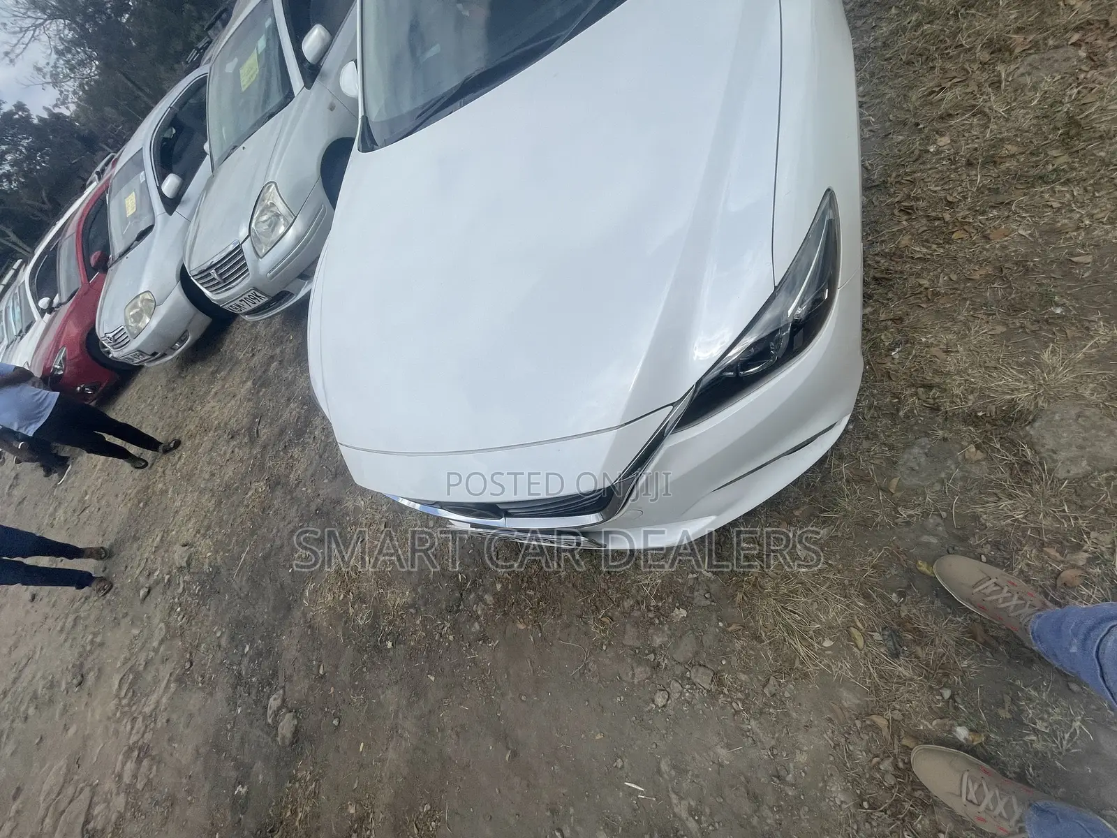 Mazda Atenza 2017 White