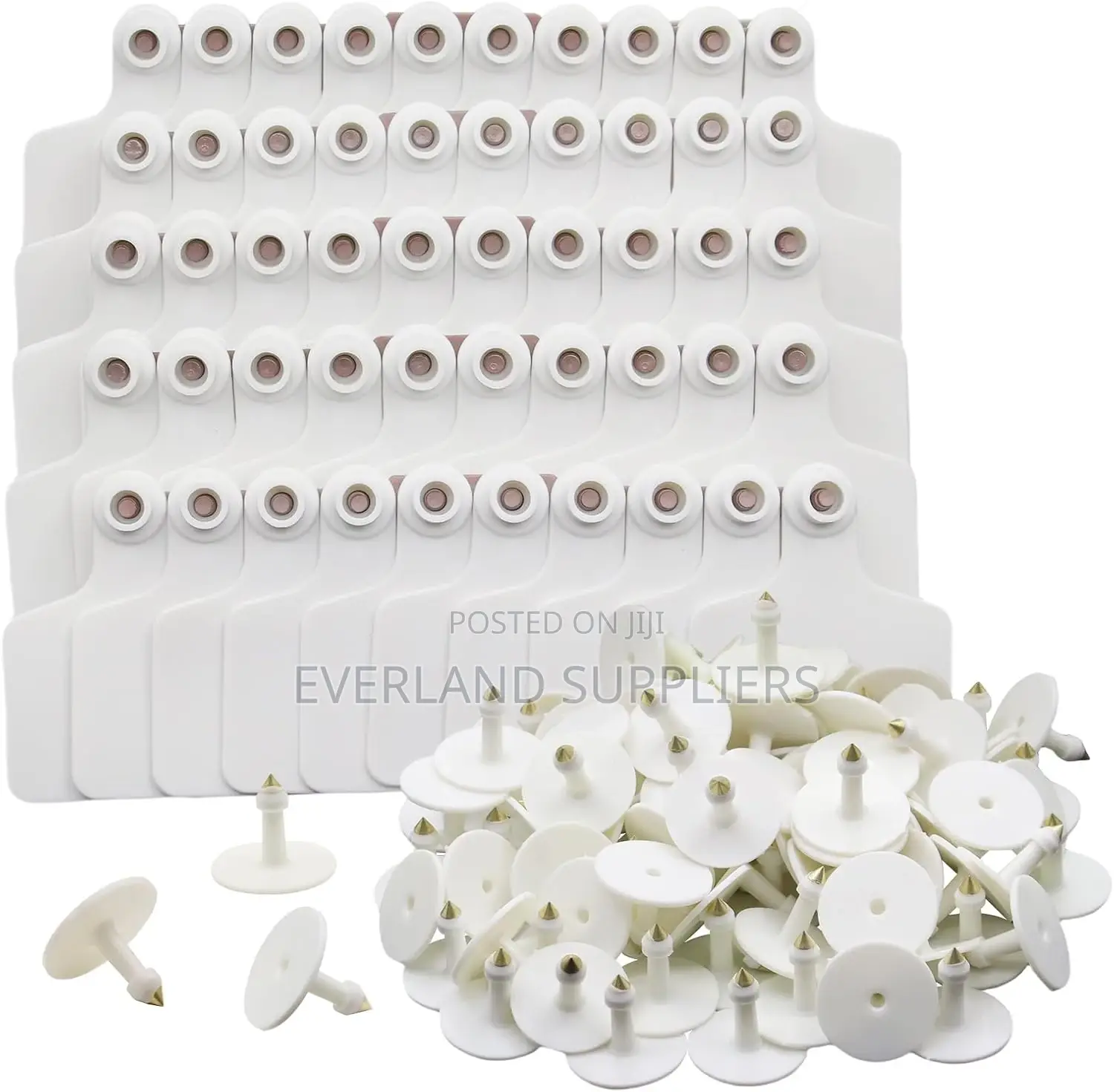 Livestock Ear Tags in White